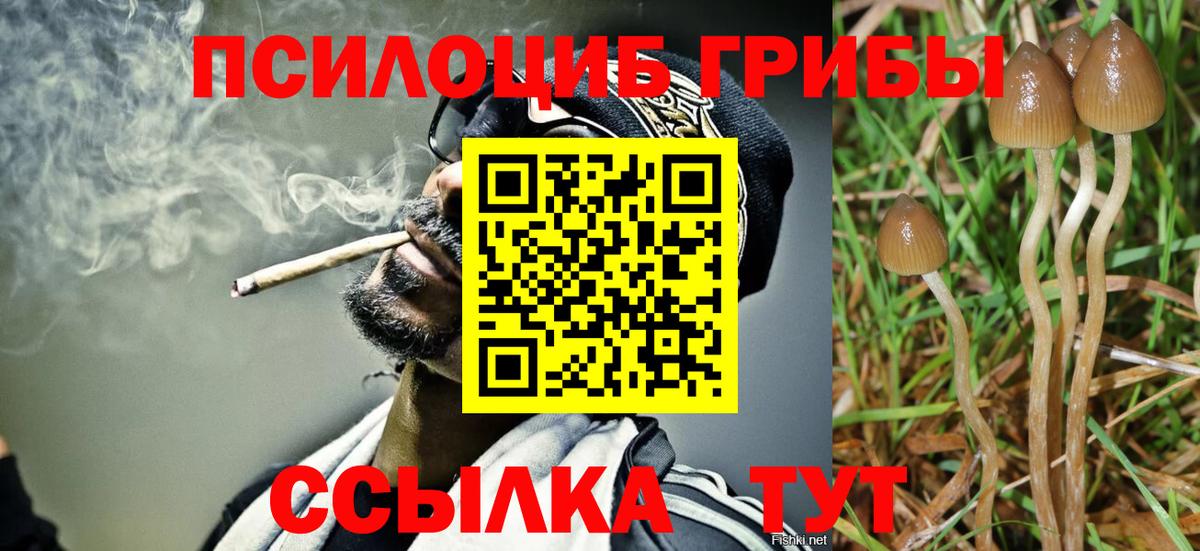 Псилоцибиновые грибы мухоморы Дивногорск