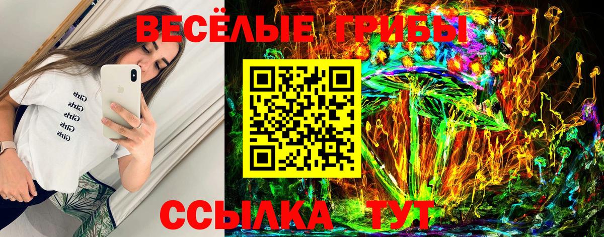 Галлюциногенные грибы GOLDEN TEACHER  Вход с VPN  даркнет сайт  Дивногорск 